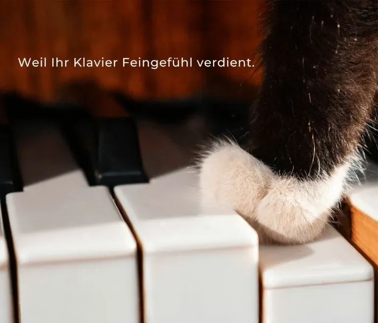 Katzenpfote drückt Klaviertaste mit dem Slogan: "weil Ihr Klavier Feingefühl verdient"